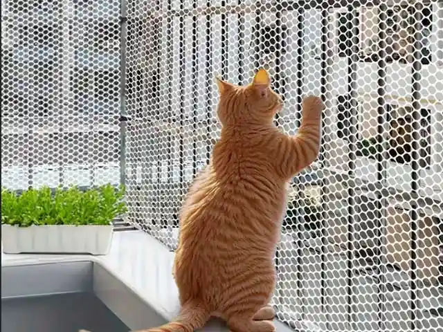 Kedi Güvenlik Filesi - Evcil Hayvan Güvenlik